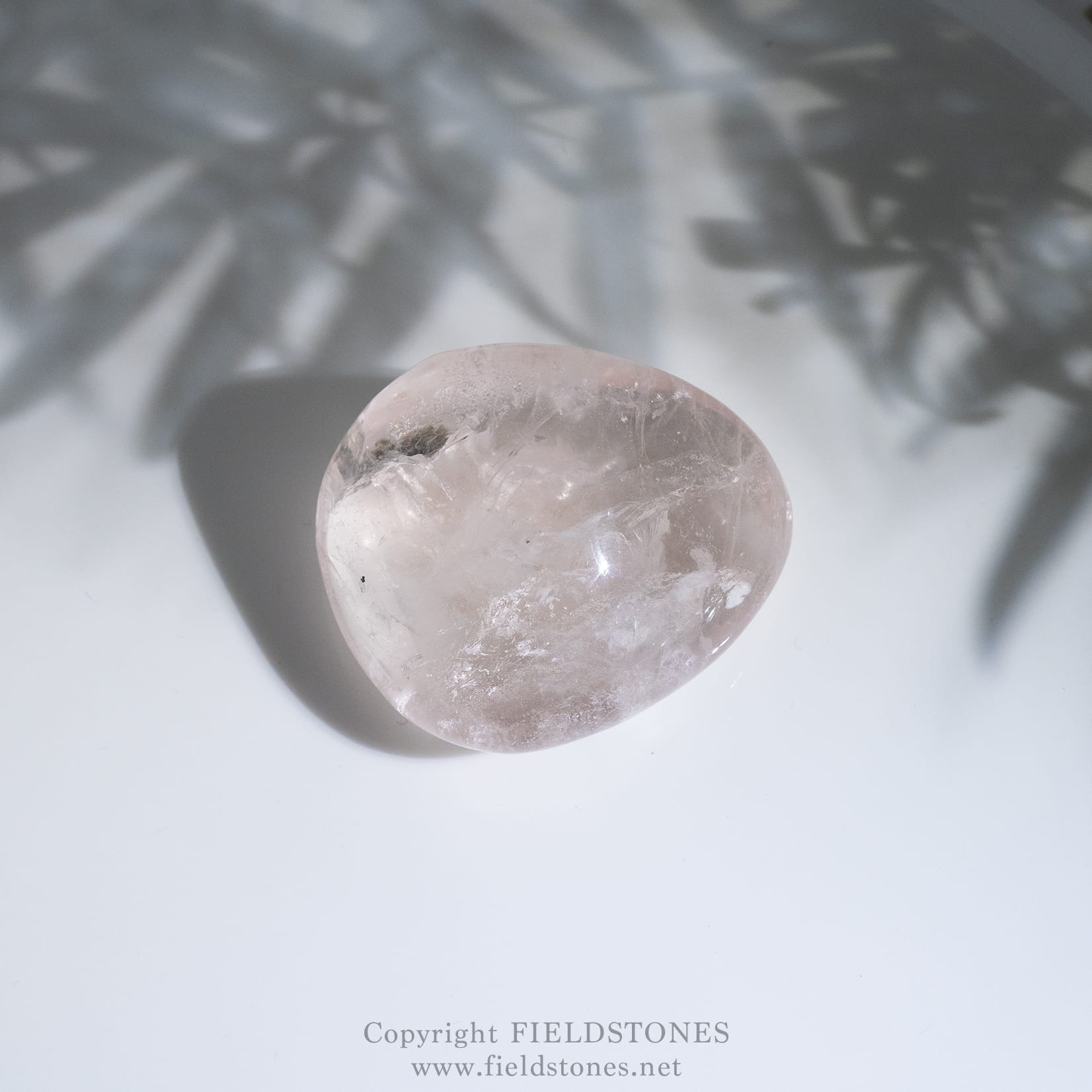 1198-1 - FieldStones