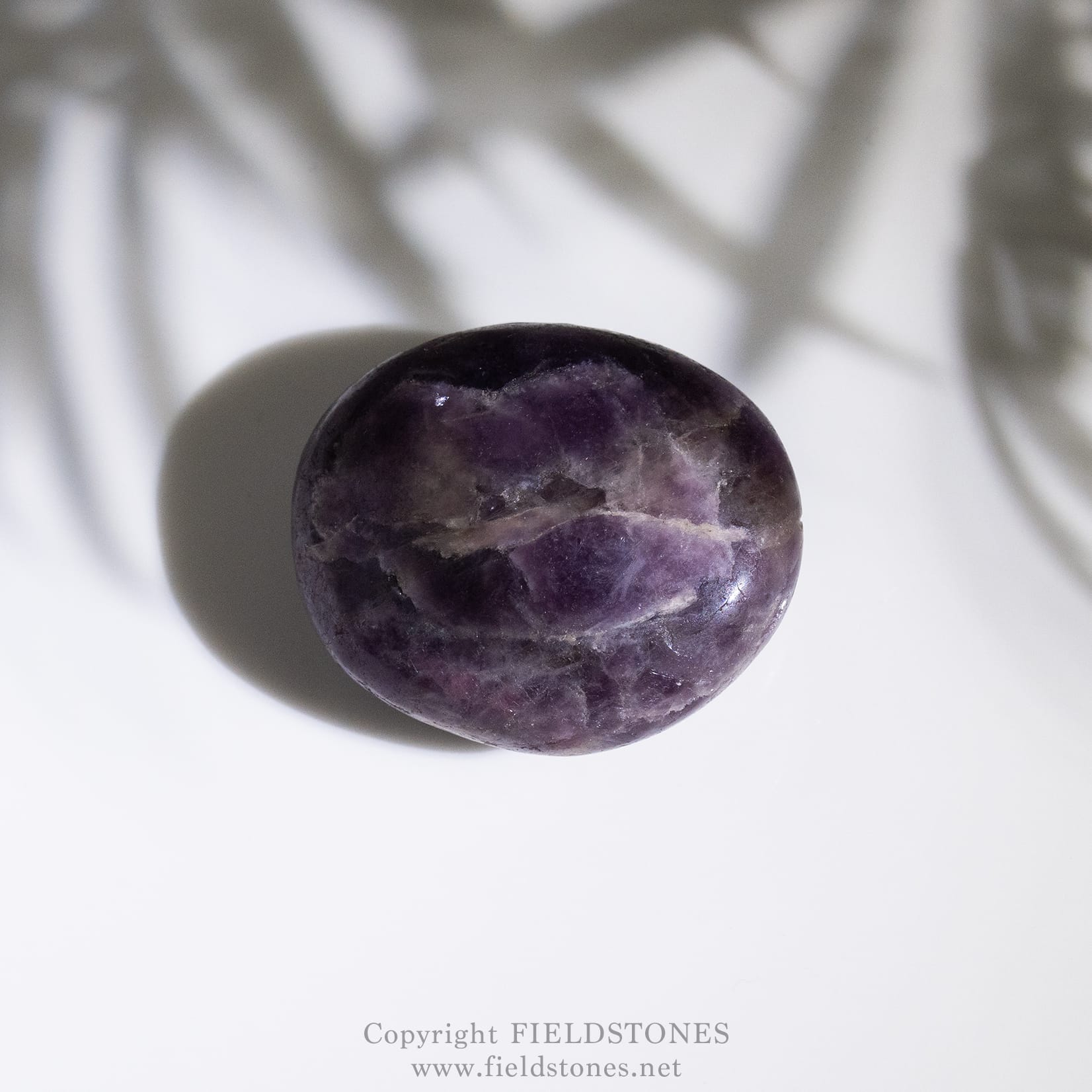 1239-2 - FieldStones