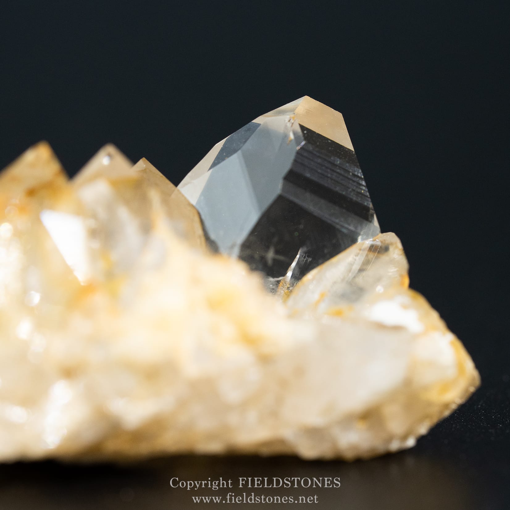 1258-10 - FieldStones