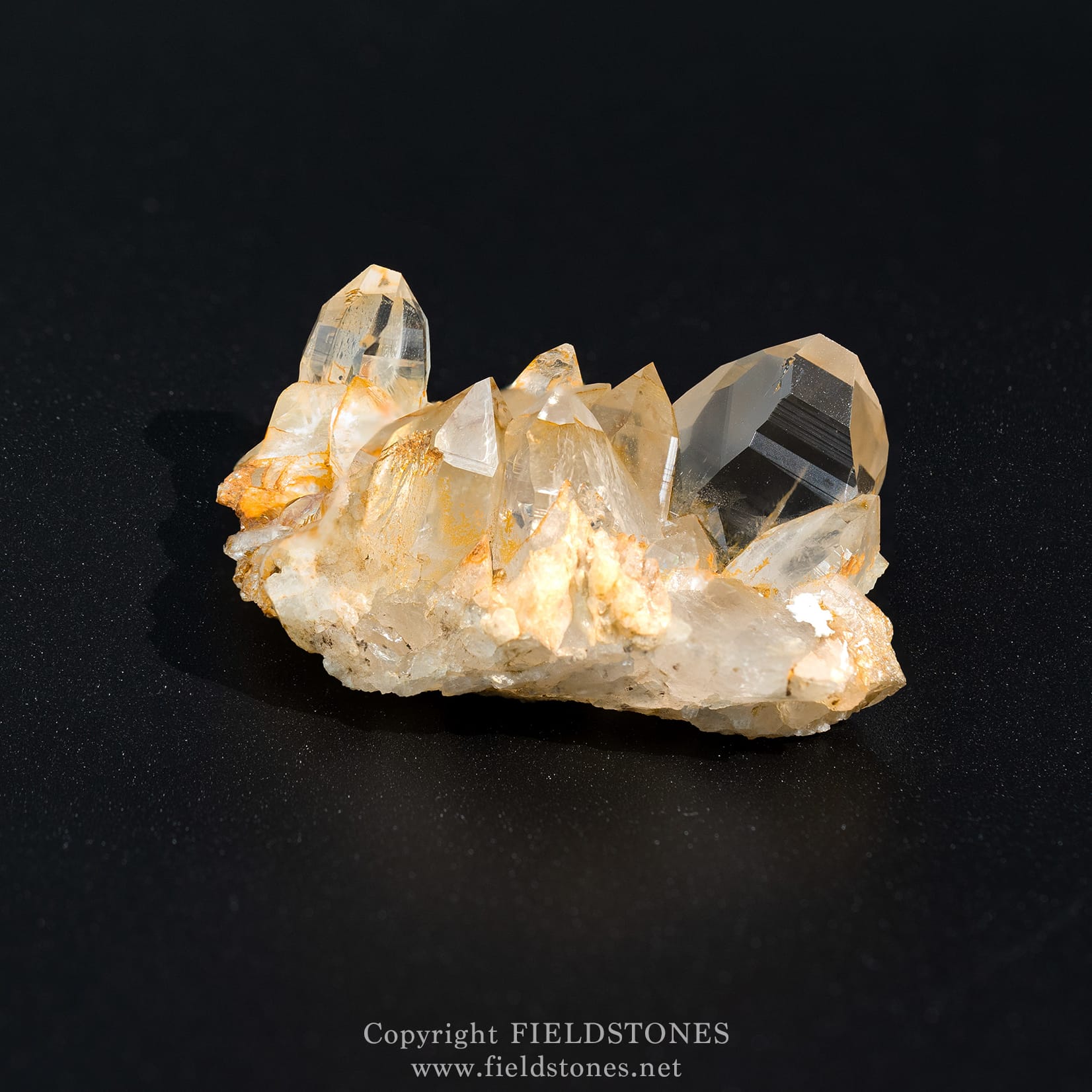 1258-3 - FieldStones