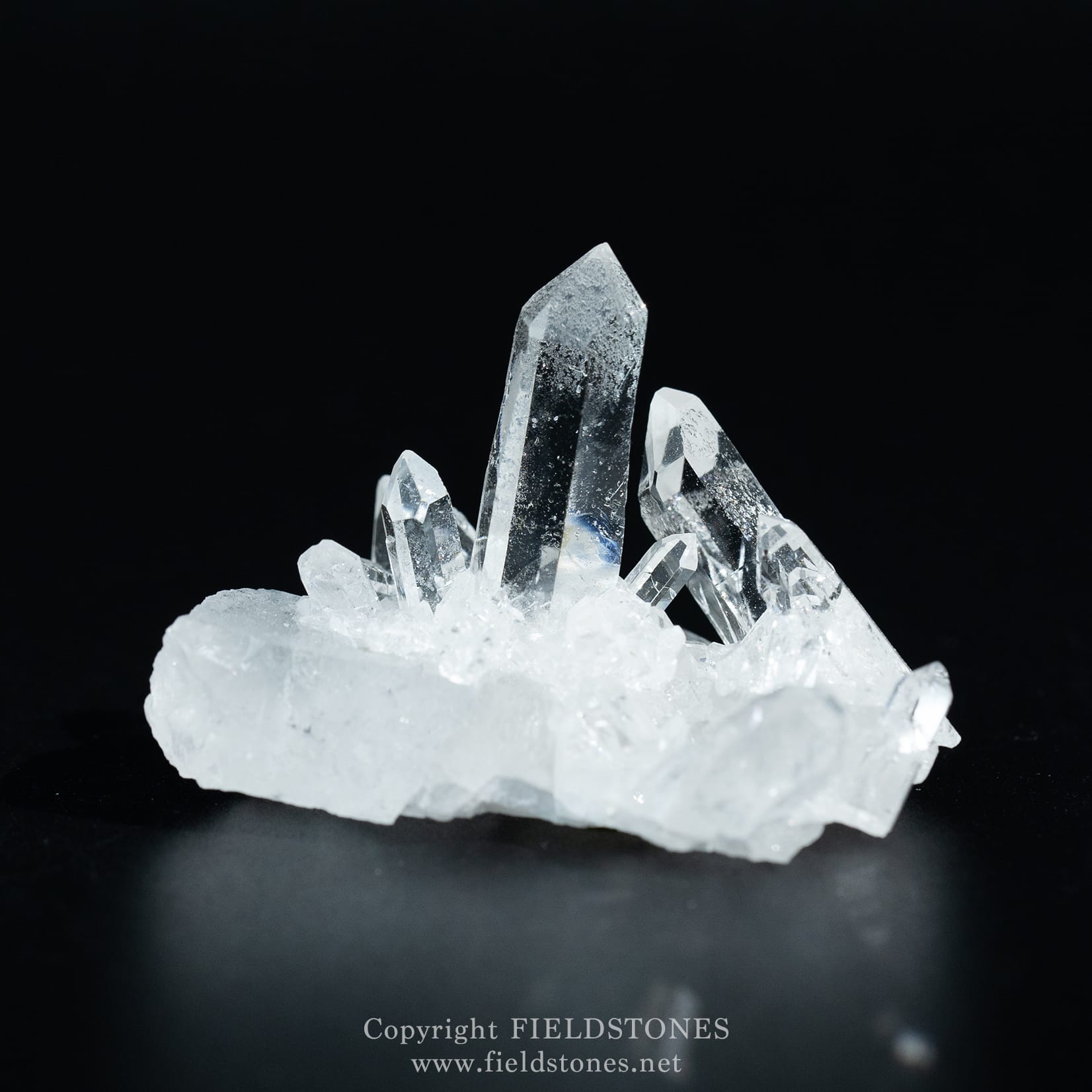 1304-1 - FieldStones