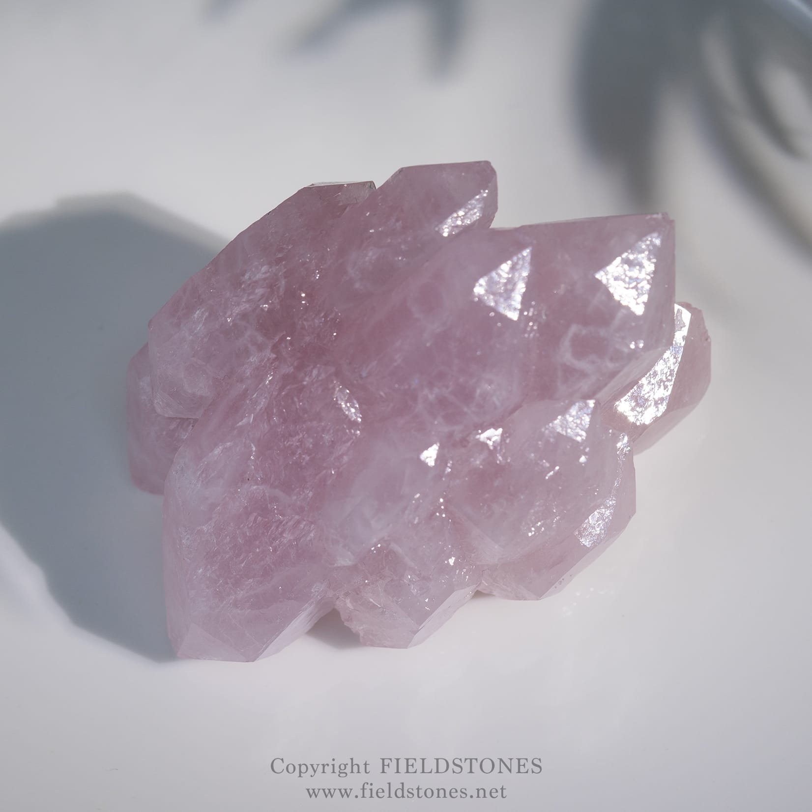 1629-1 - FieldStones