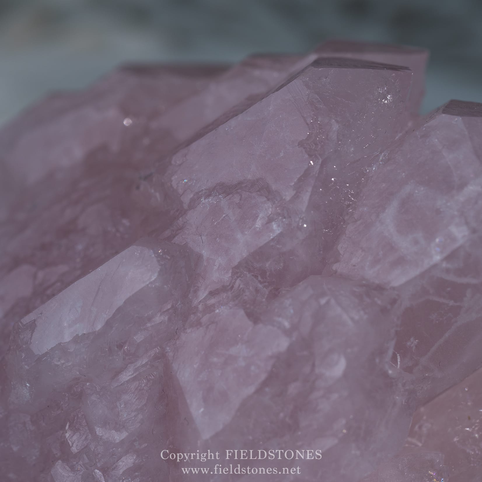 1629-11 - FieldStones