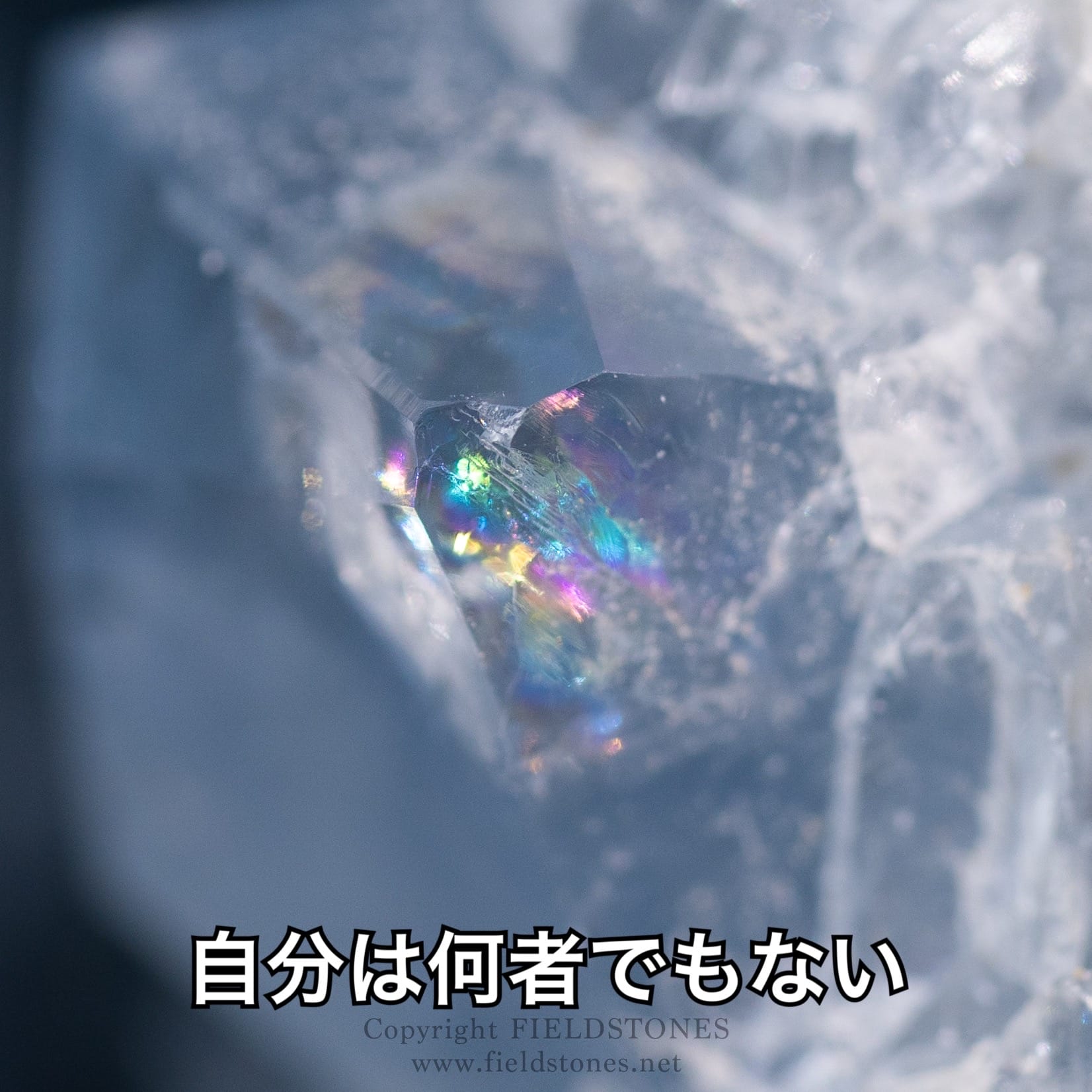 自分は何者でもない