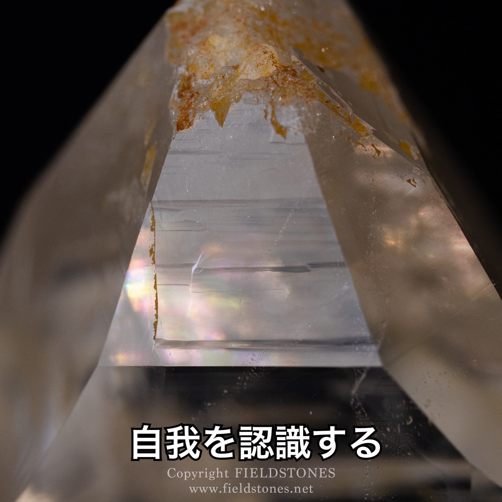 自我を認識する