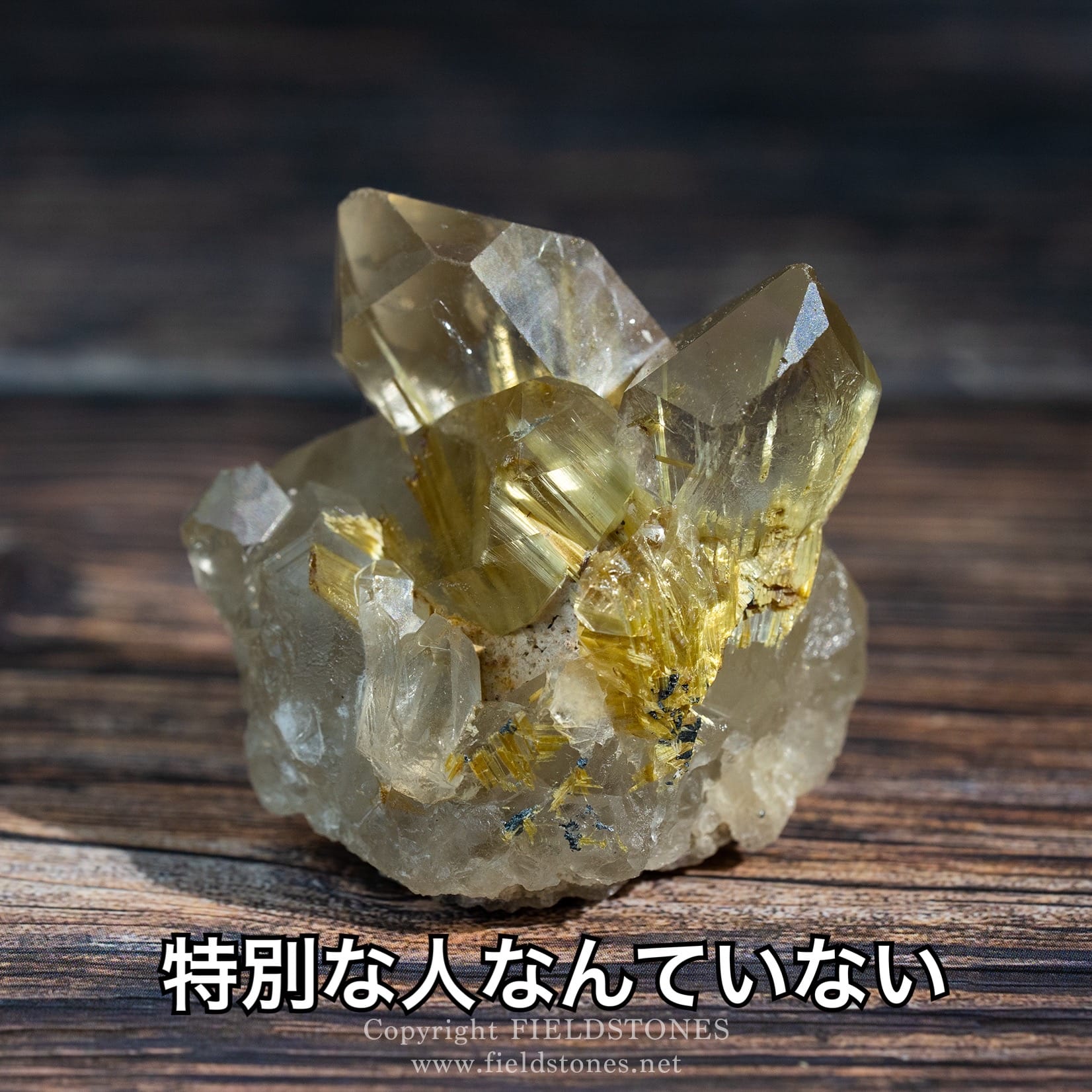 特別な人なんていない