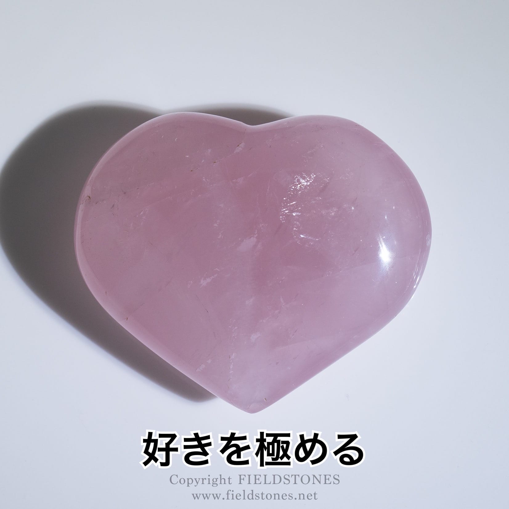 好きを極める