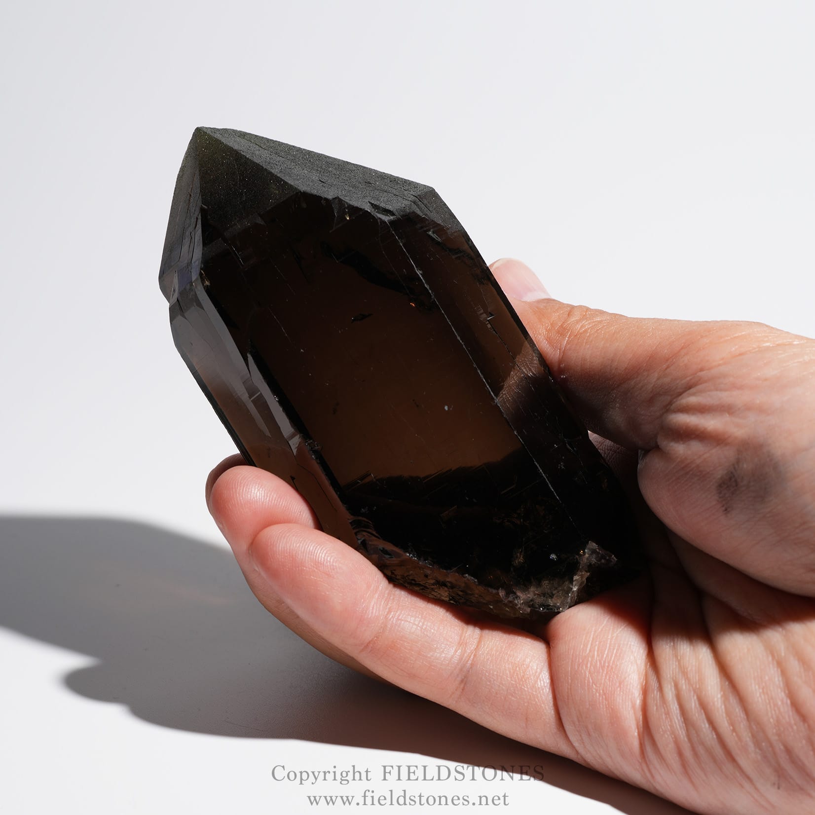 希望の光を照らす！アルプススモーキークォーツ・スイス産 - FieldStones