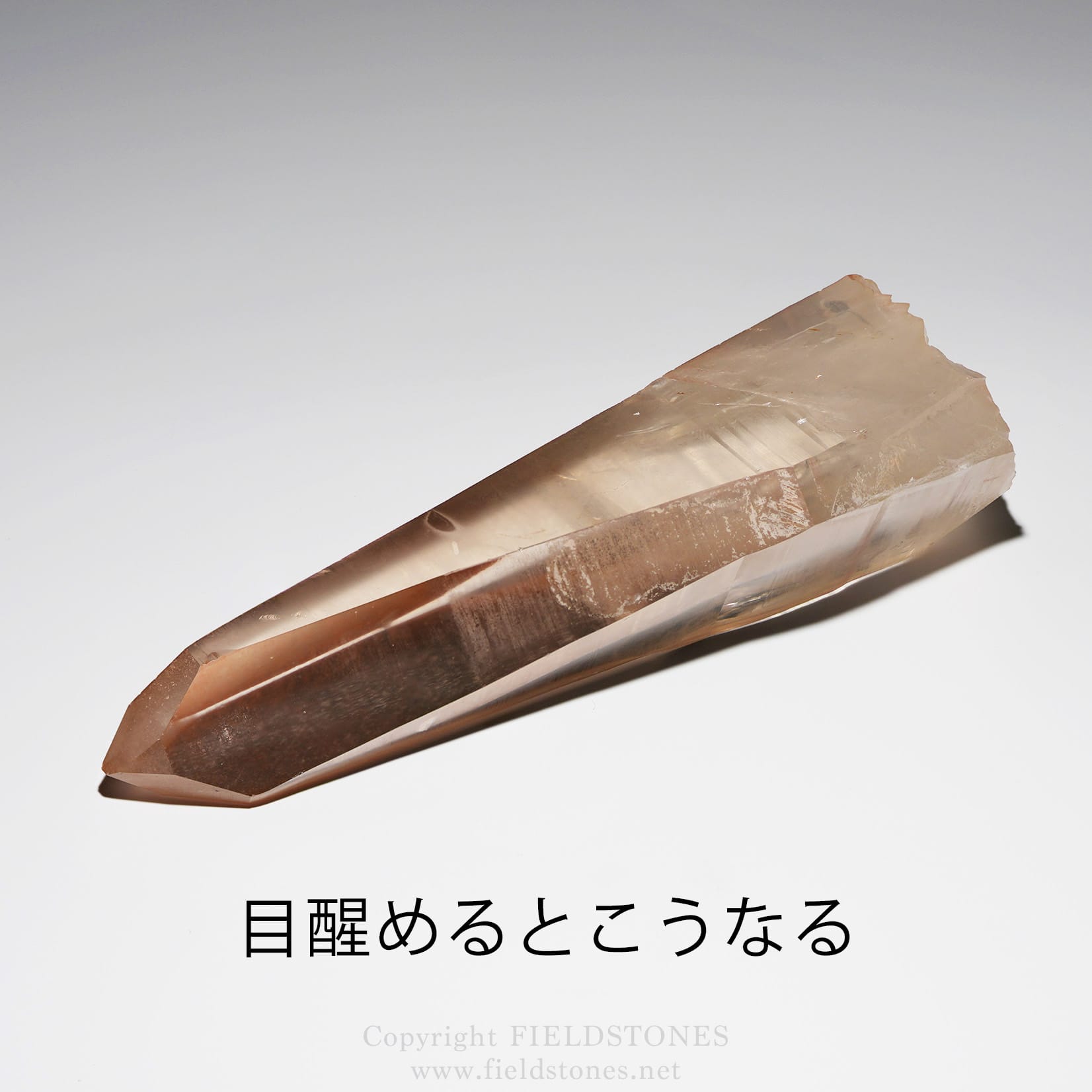 目醒めるとこうなる