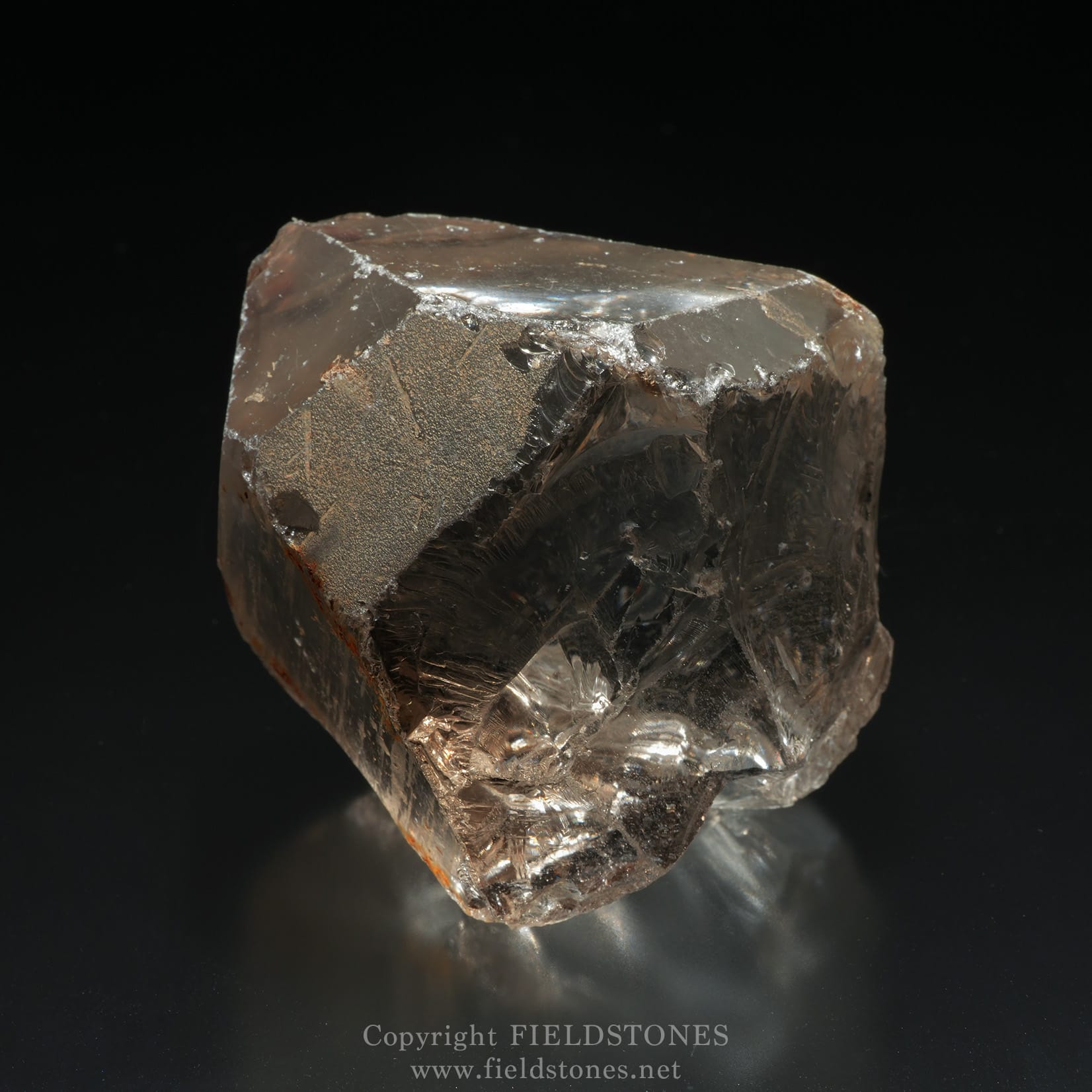 4569-7 - FieldStones