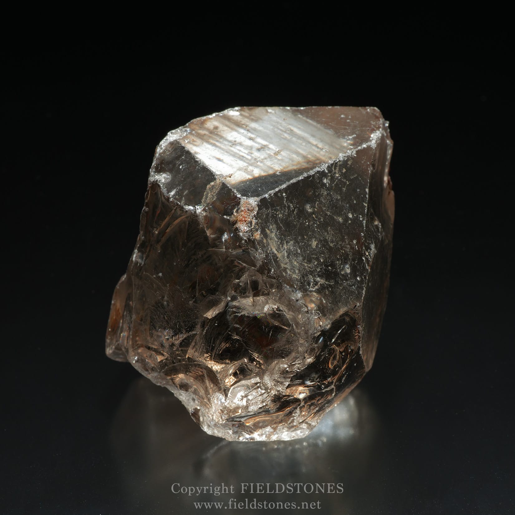 4569-8 - FieldStones