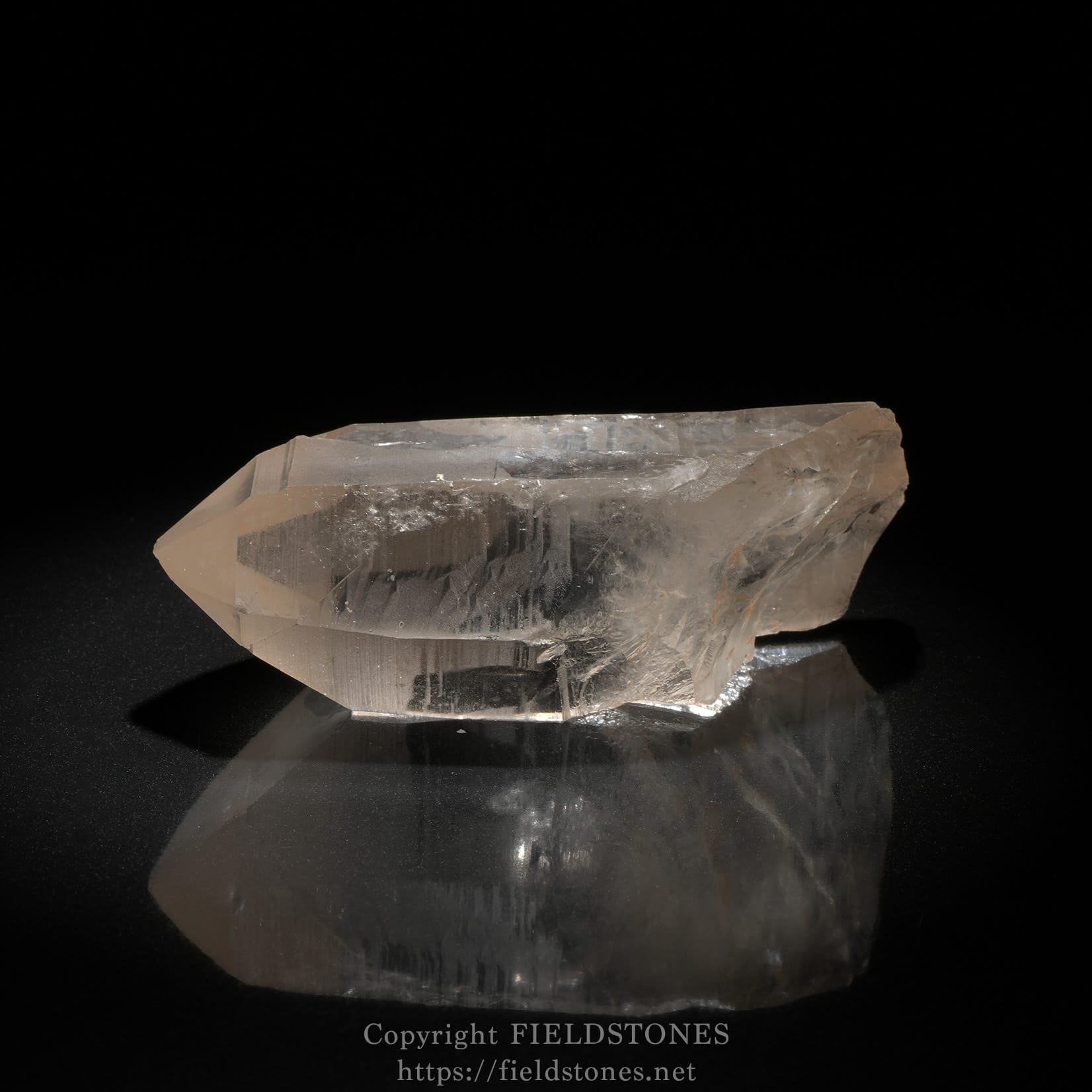 5568-6 - FieldStones