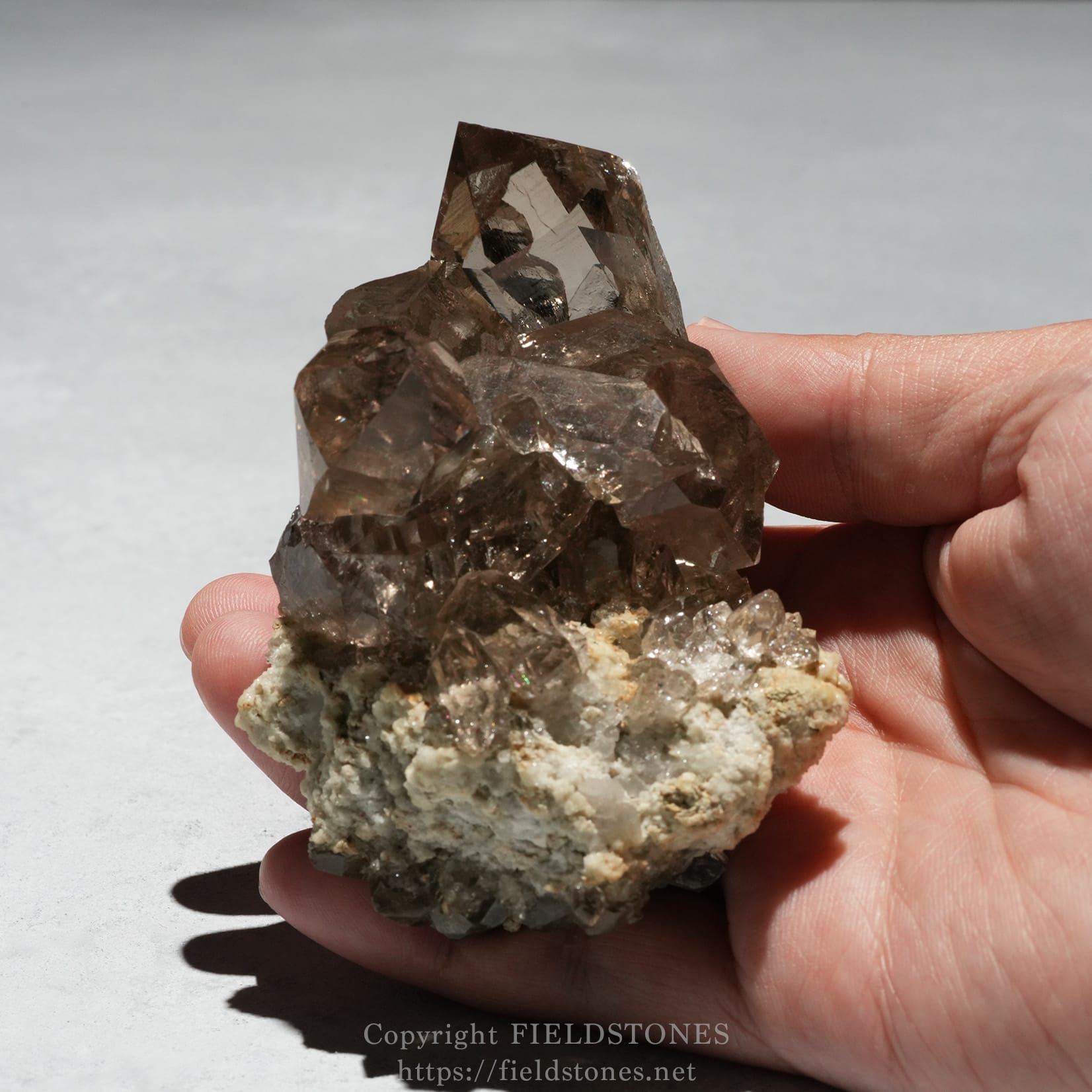 5595-15 - FieldStones