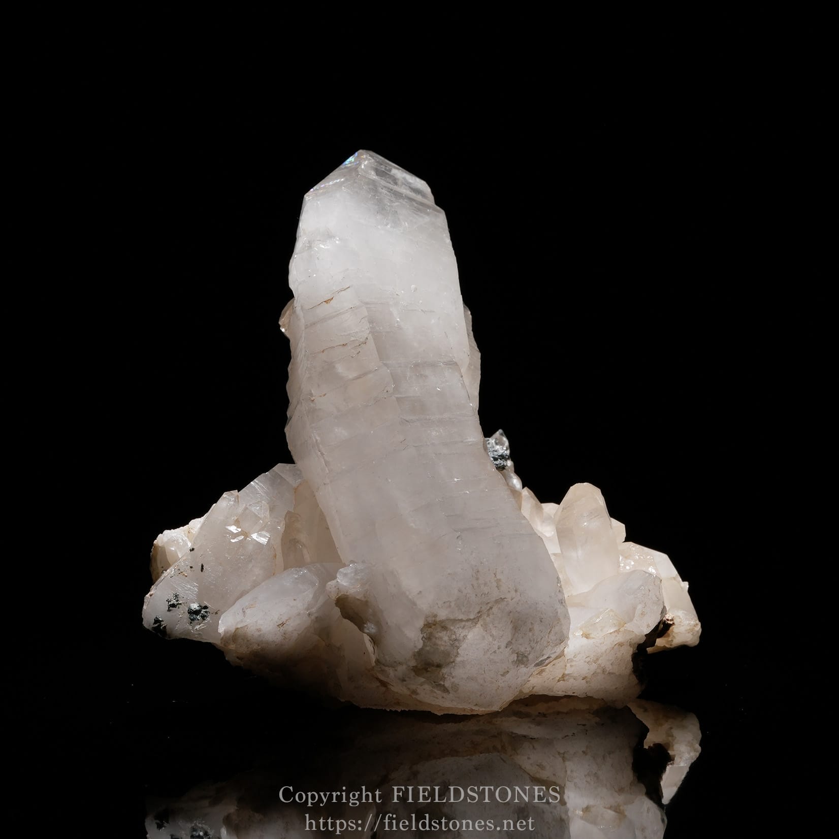 6170-9 - FieldStones