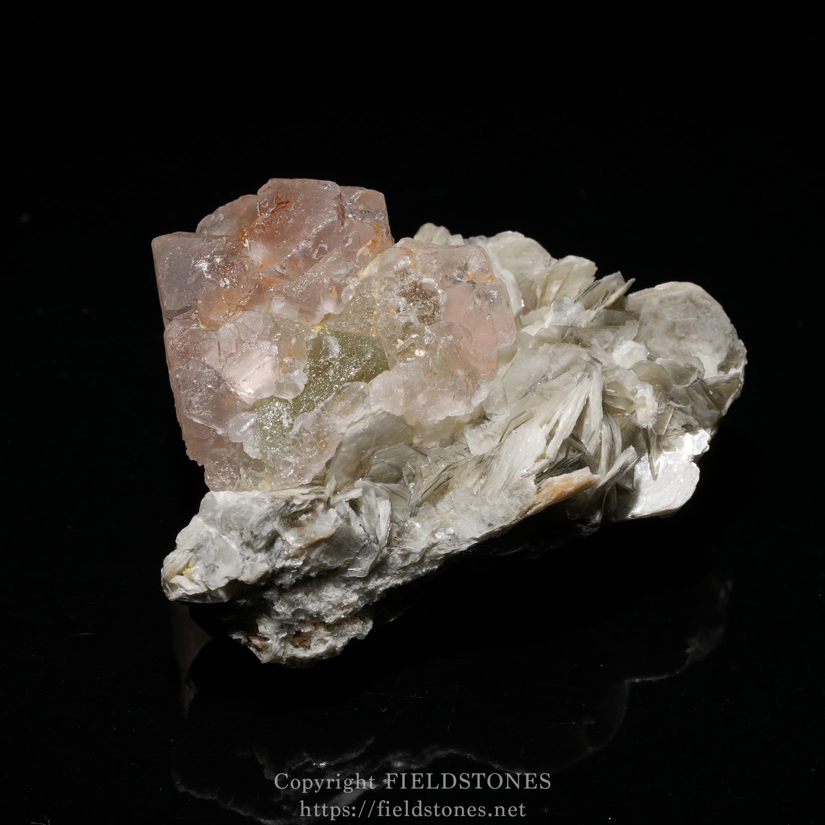 6448-1 - FieldStones