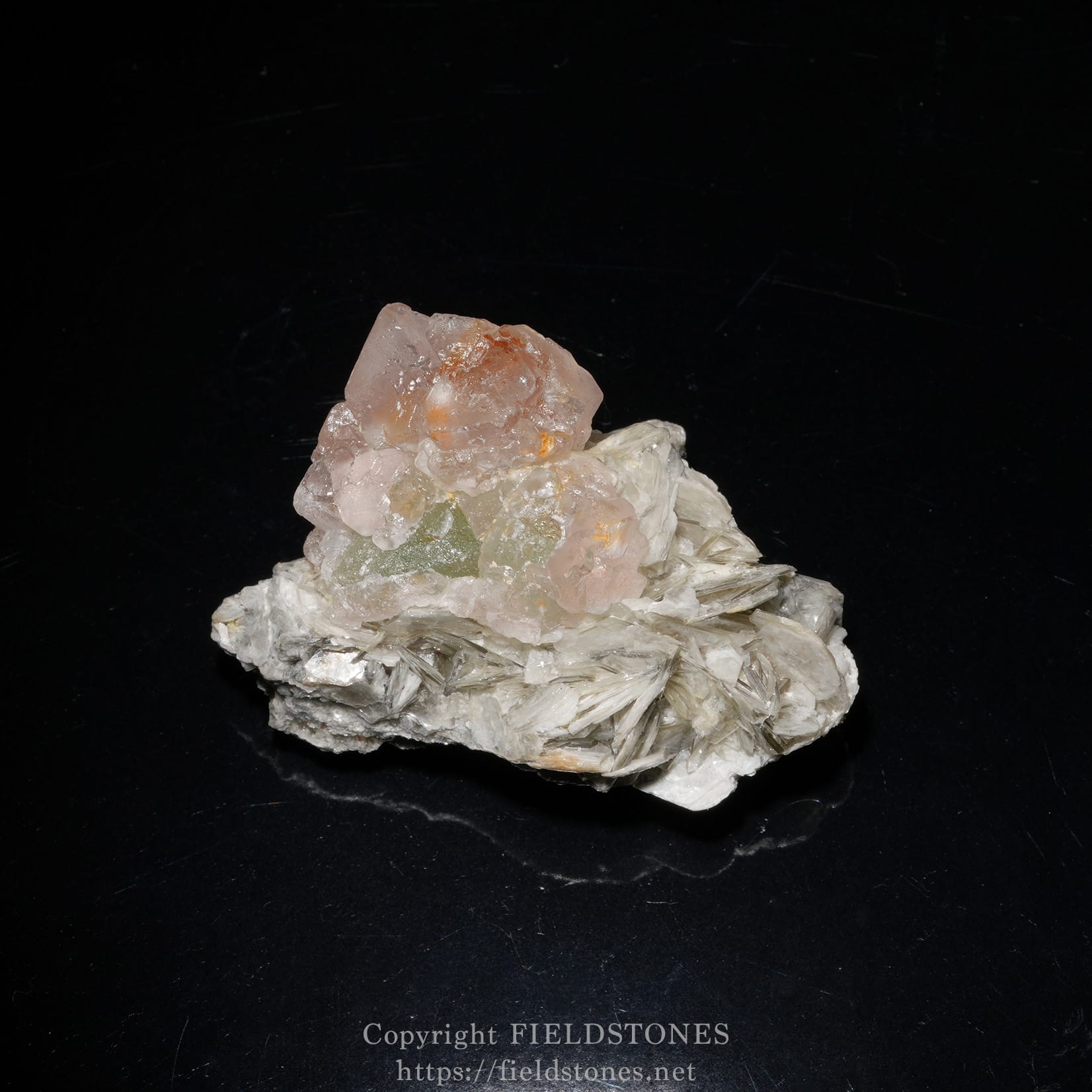 6448-8 - FieldStones