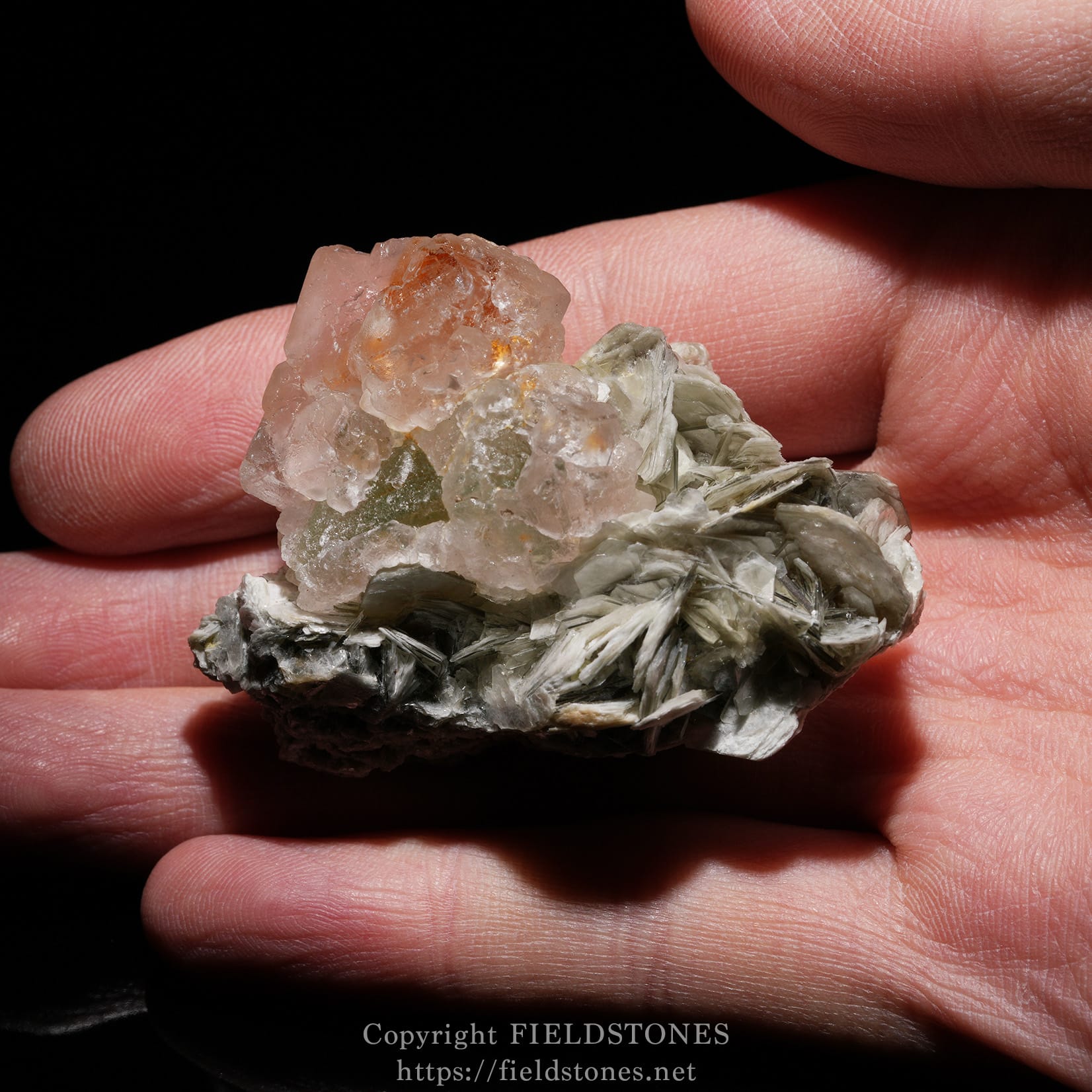 6448-9 - FieldStones