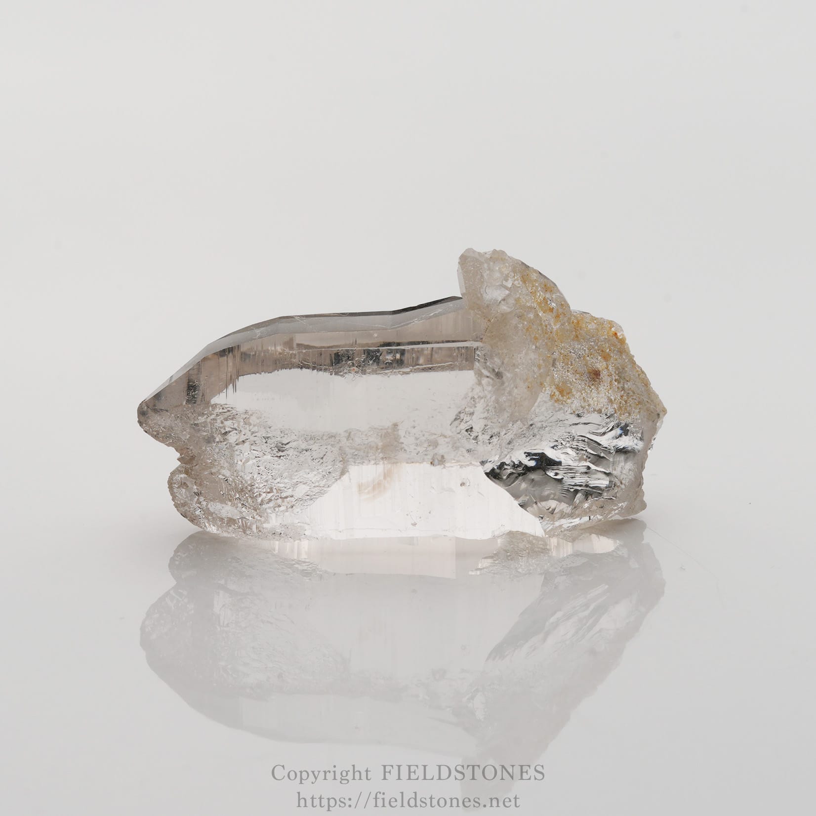 6501-6 - FieldStones Clear quartz crystal with pointed prism and rough base on a white reflective surface, showing its transparency and facets.
