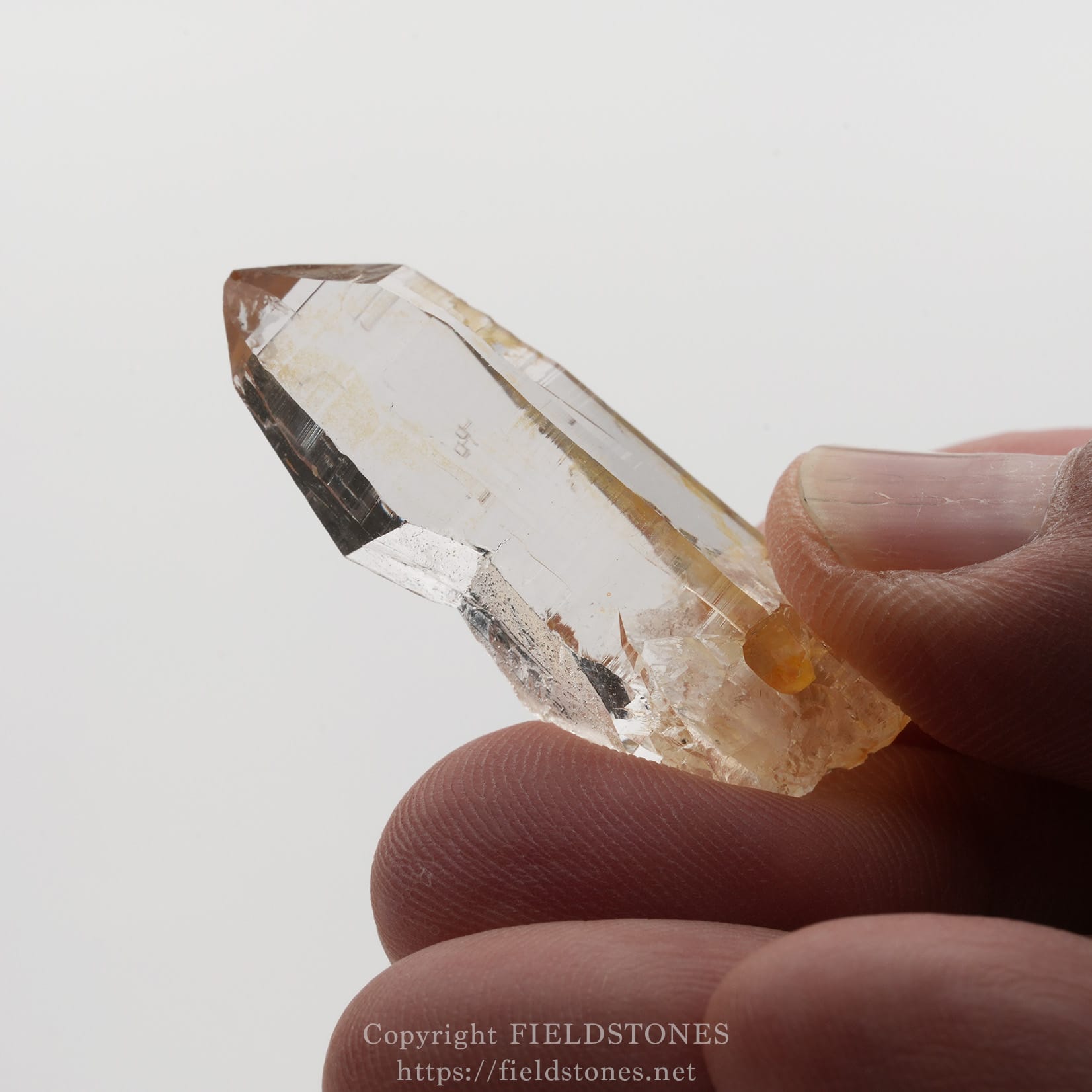 6506-9 - FieldStones Clear quartz crystal held between fingertips against a white background, showcasing its sharp facets and translucence.