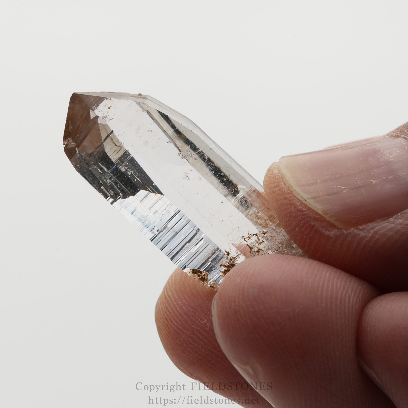 6508-10 - FieldStones Close-up of a clear quartz crystal held between fingers against a white background.