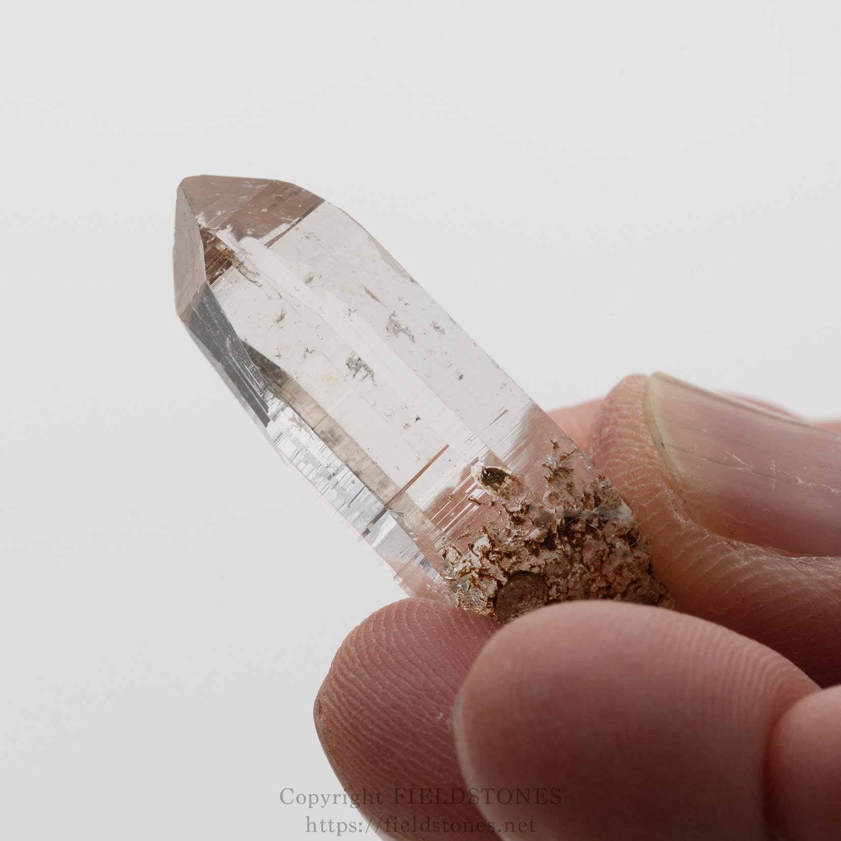 6508-11 - FieldStones Clear quartz crystal point held between fingers, with a small brown mineral base attached at the tip.