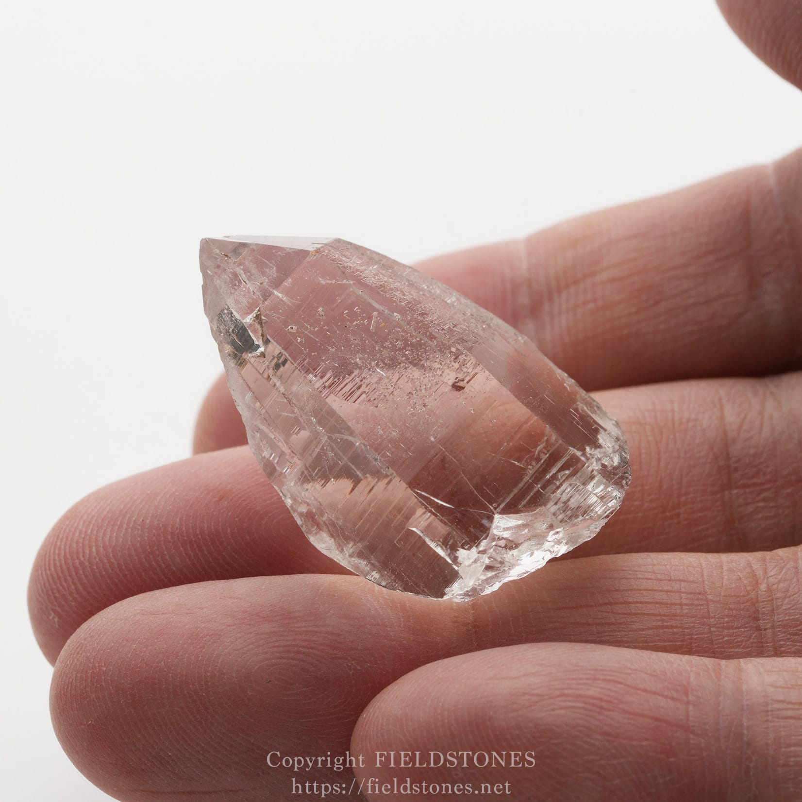 6509-11 - FieldStones Rose quartz crystal held between a thumb and finger, showing a translucent pink gemstone.