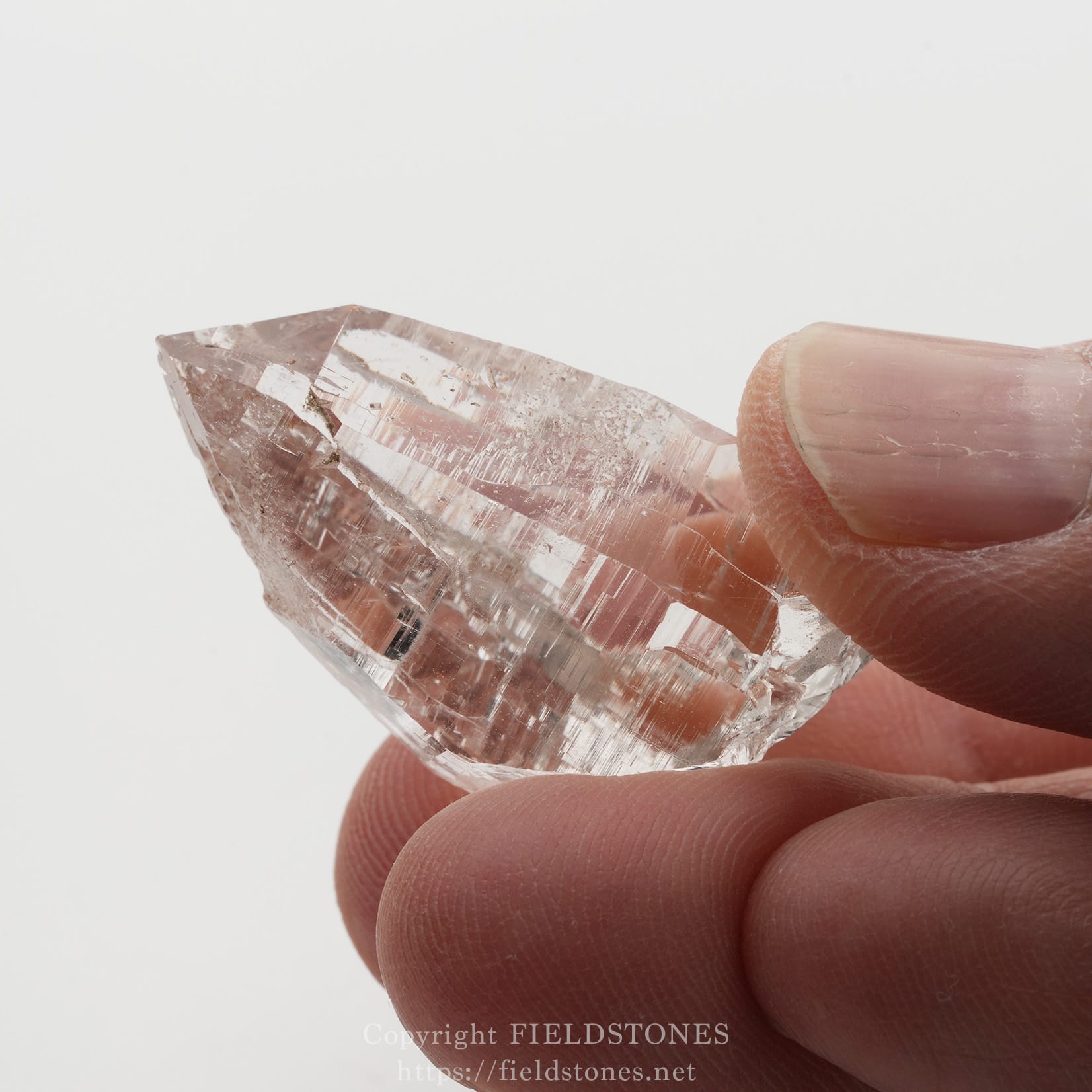 6509-8 - FieldStones Close-up of a pink quartz crystal held between the thumb and forefinger against a white background.