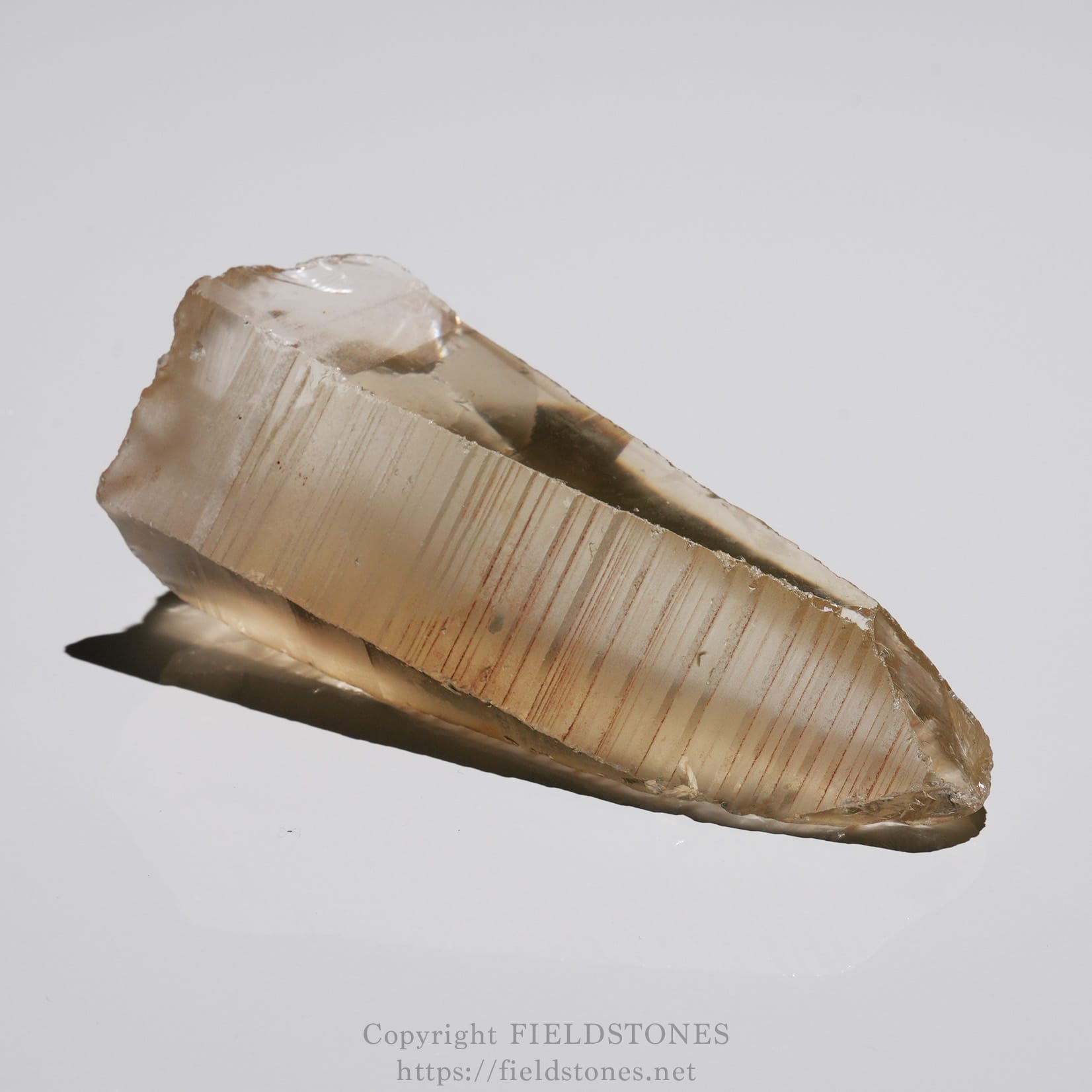 6524-1 - FieldStones Beige flint shard with conchoidal fracture and fine vertical striations, resting on a white surface.