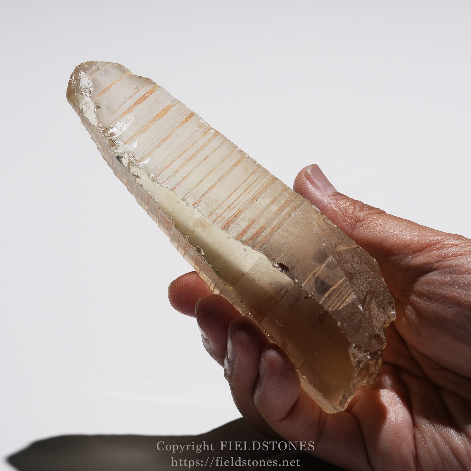 6524-11 - FieldStones Hand holding a large translucent quartz crystal with horizontal striations visible along its length.