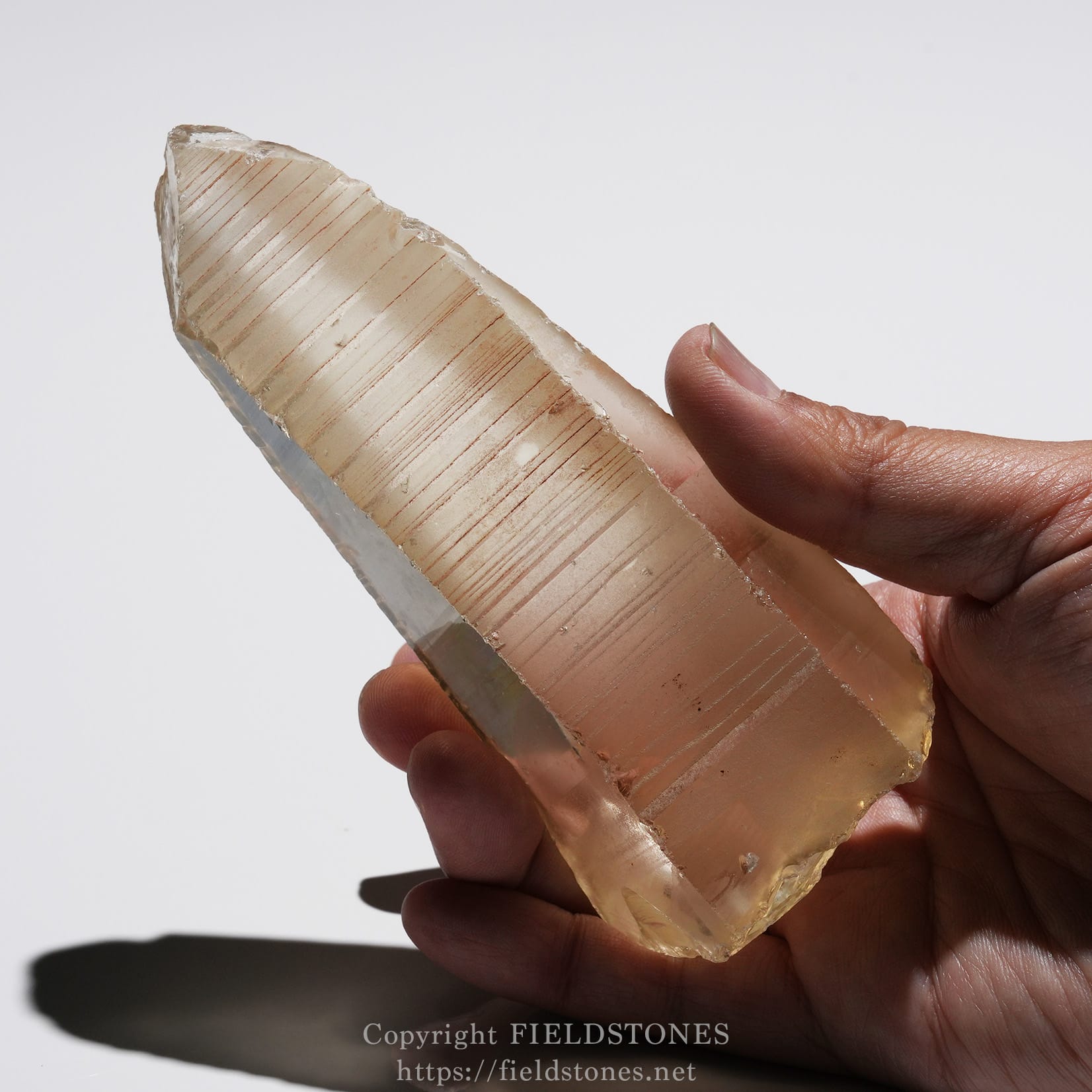 6524-12 - FieldStones Hand gripping a large pale-pink rose quartz crystal with horizontal striations visible along its length.