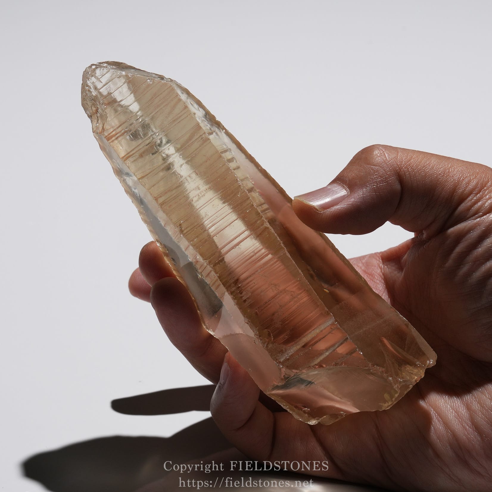6524-6 - FieldStones Hand holding a large translucent pink rose quartz crystal, light shining through its facets.