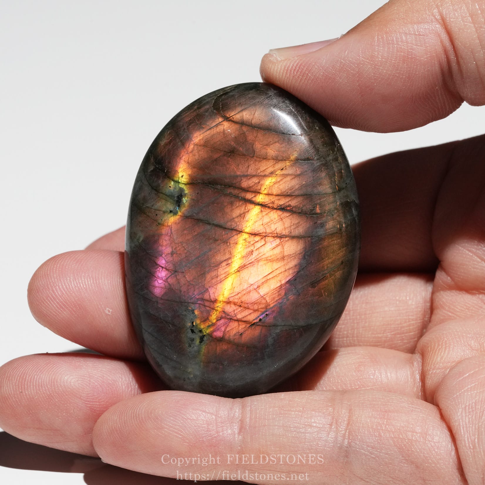 6525-1 - FieldStones Polished labradorite stone held between fingertips, displaying iridescent rainbow colors.