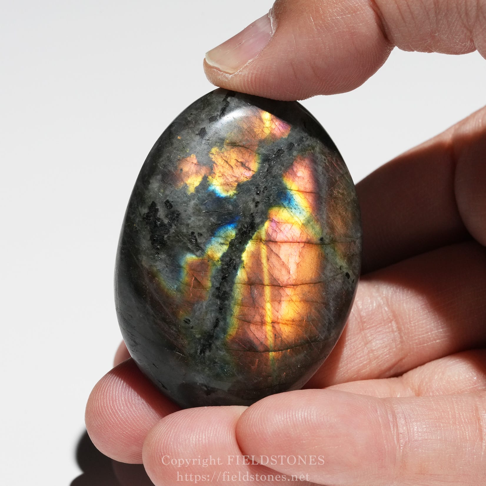 6525-2 - FieldStones Polished labradorite oval bead held between fingers, displaying iridescent rainbow flashes of blue, gold, and green on a dark surface