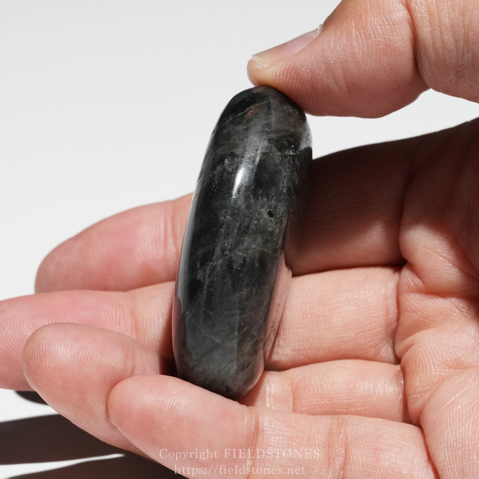 6525-3 - FieldStones Close-up of a dark polished stone held between a thumb and fingers against a white background.