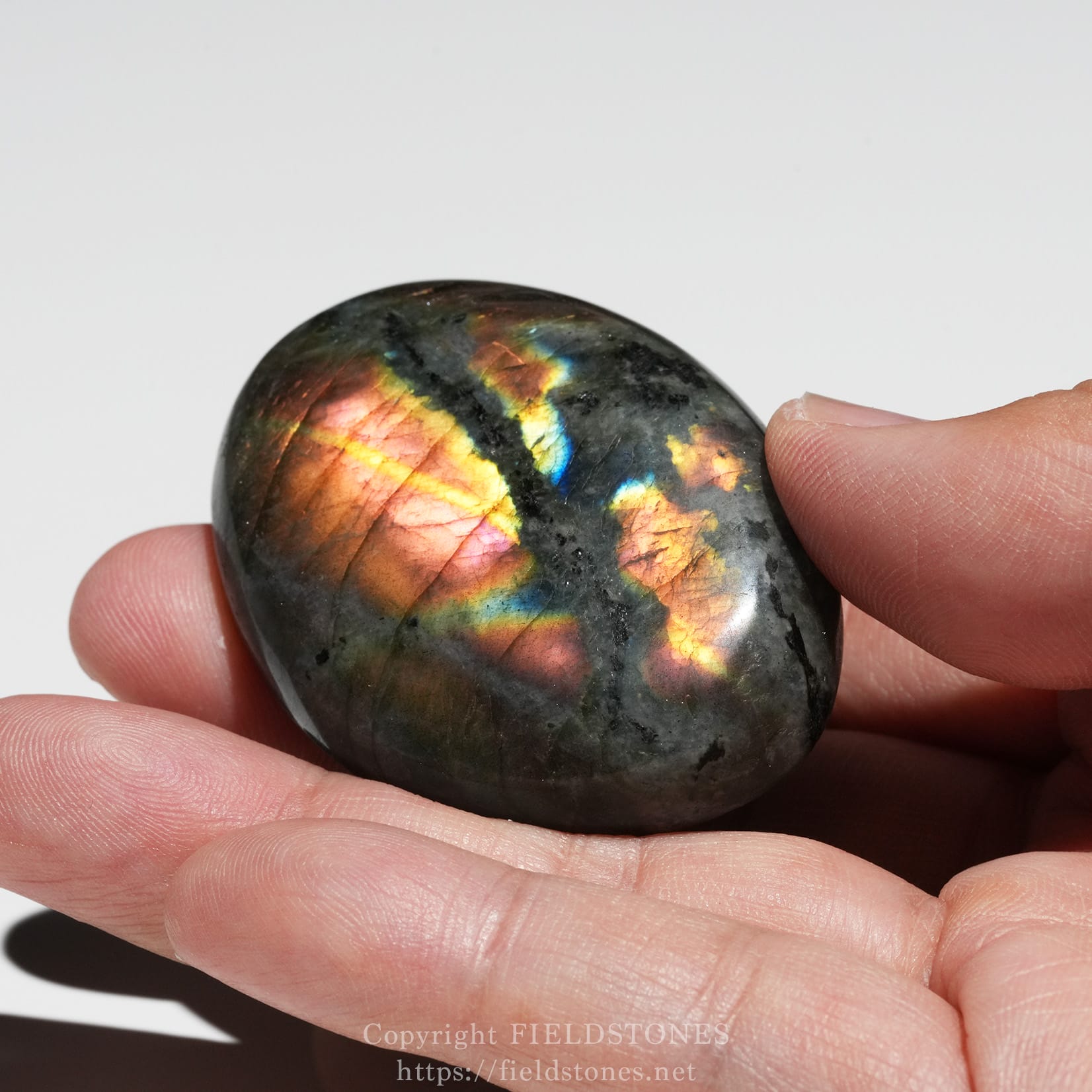 6525-5 - FieldStones Polished labradorite stone showing iridescent blue, green, and orange flashes held between two fingers.