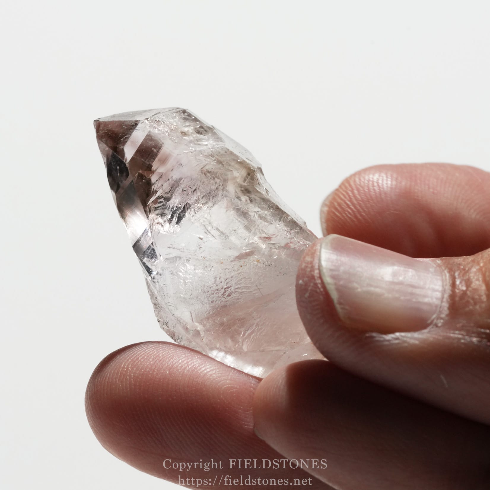 6562-9 - FieldStones Close-up of a clear quartz crystal held between the thumb and forefinger against a white background.