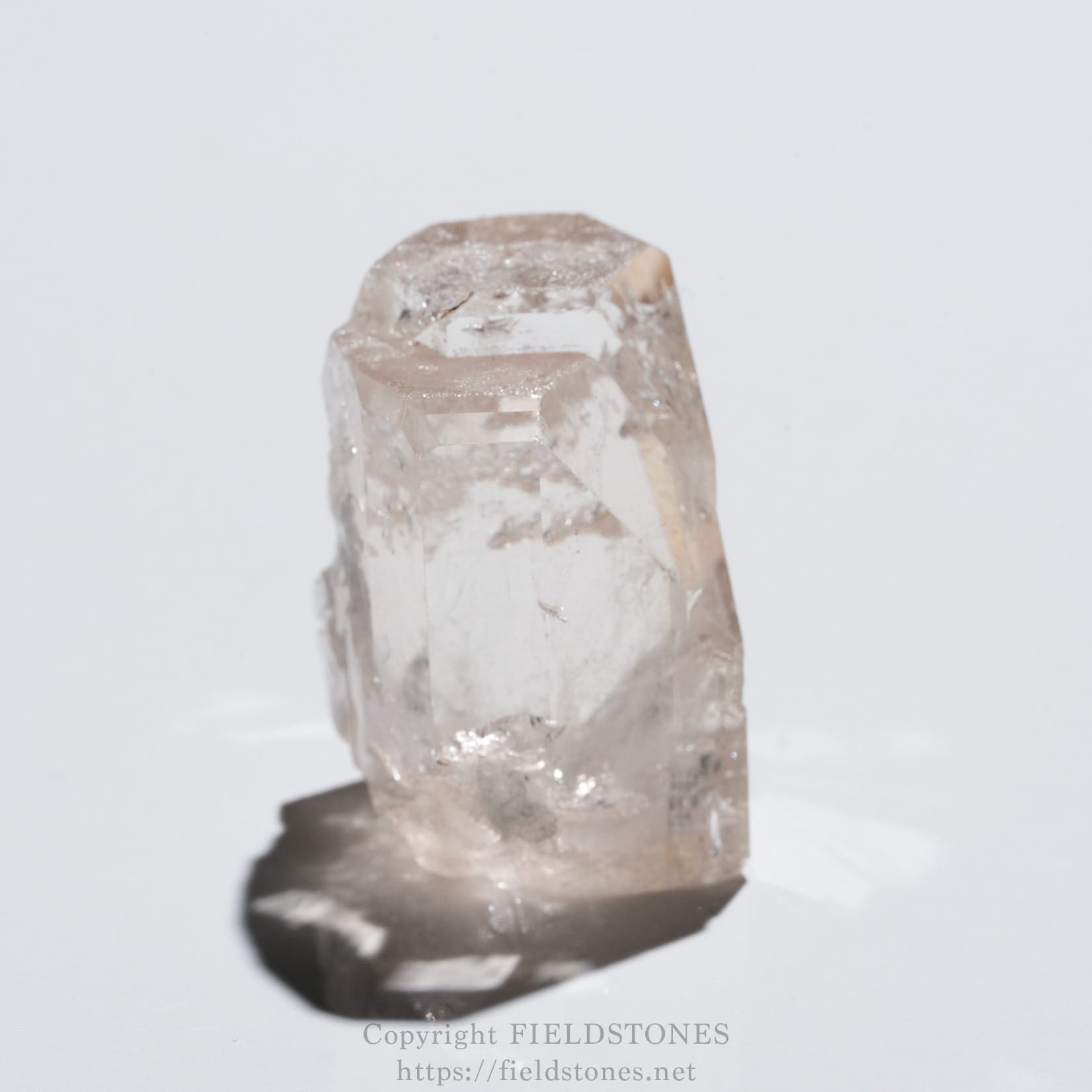 6576-10 - FieldStones Clear quartz crystal standing upright on a white surface, casting a shadow.