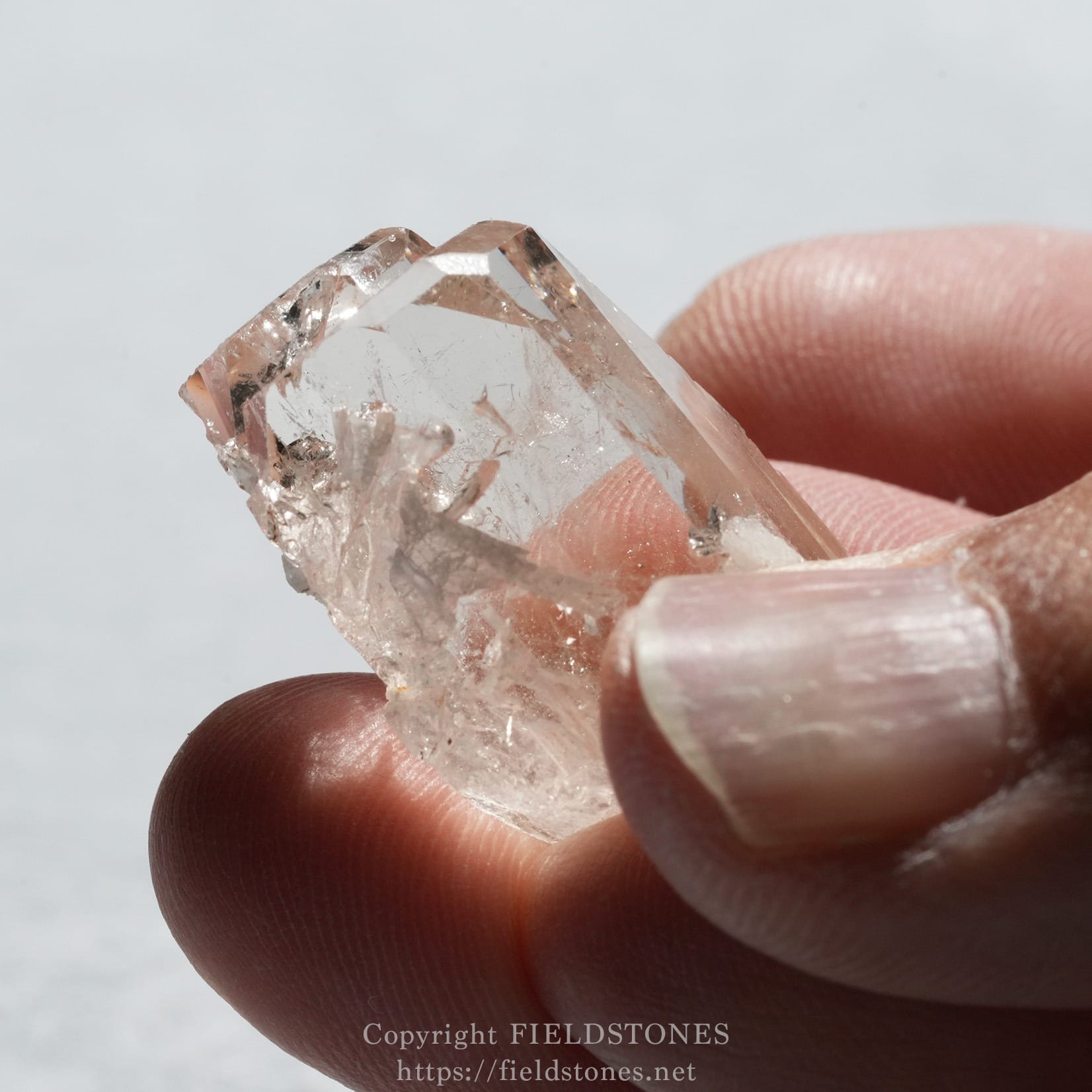 6576-8 - FieldStones Close-up of a pink, translucent quartz crystal held between fingers against a light background.