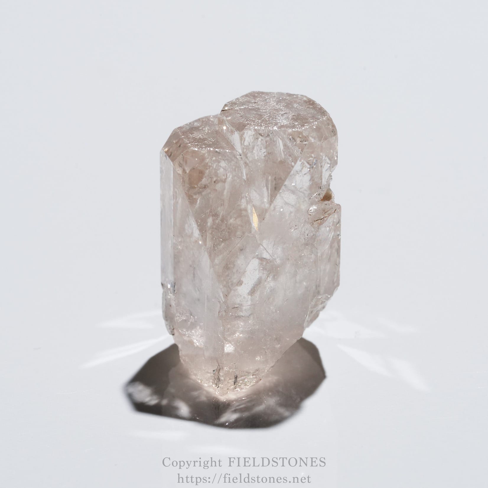 6576-9 - FieldStones Rose quartz crystal pointing upward on a white background, with reflections and soft shadow below.