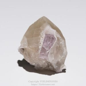 Close-up of a purple amethyst crystal embedded in a pale beige quartz matrix against a white background.