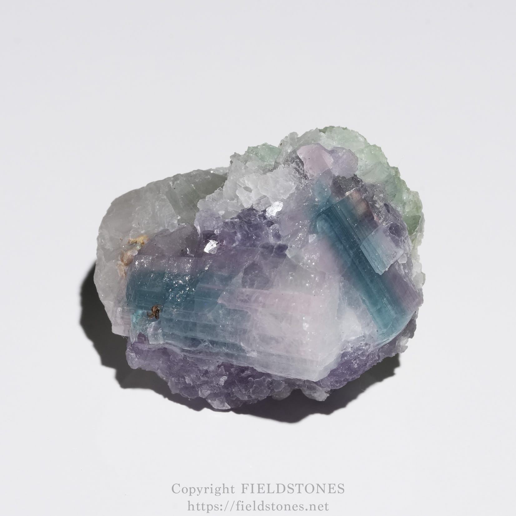 6645-2 - FieldStones Colorful fluorite crystal cluster with purple, blue, and green facets on a white background.