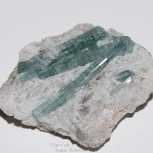 Blue-green tourmaline crystals embedded in a white mineral matrix (crystal specimen).