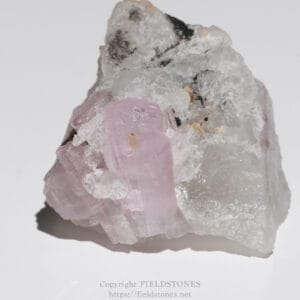 Pink crystals of rhodochrosite on a white quartz-rich rock matrix, close-up view