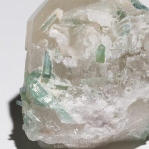 Close-up of a mineral specimen with green prismatic crystals embedded in a white/cream host matrix.