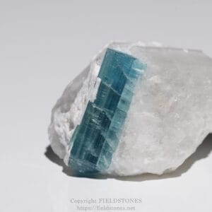 Blue-green crystal embedded in a white rocky matrix, photographed in close focus.