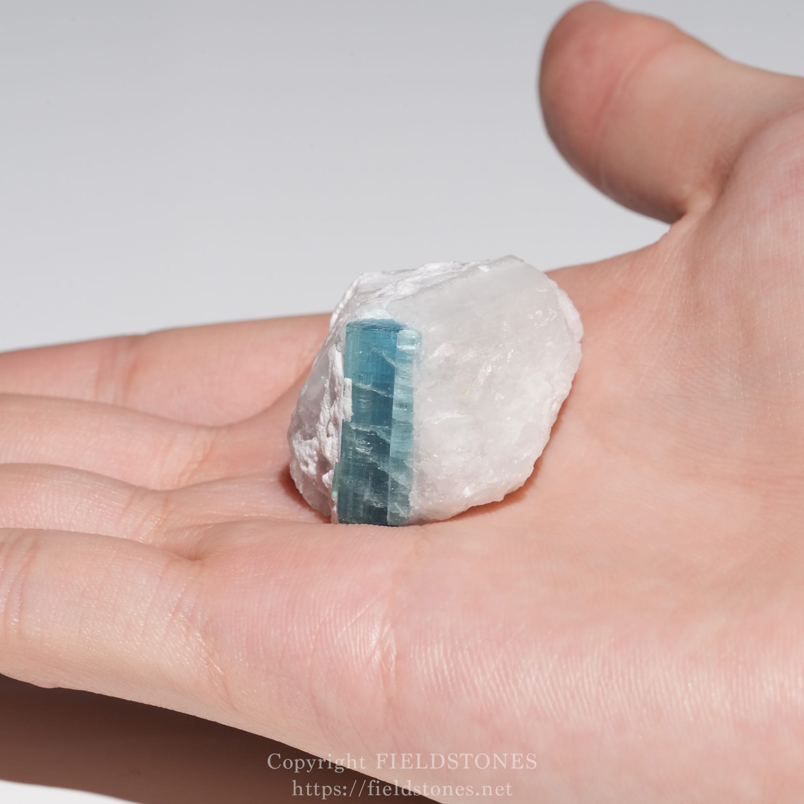 6651-10 - FieldStones Aquamarine crystal on a white rock held between fingernails and thumb in a hand
