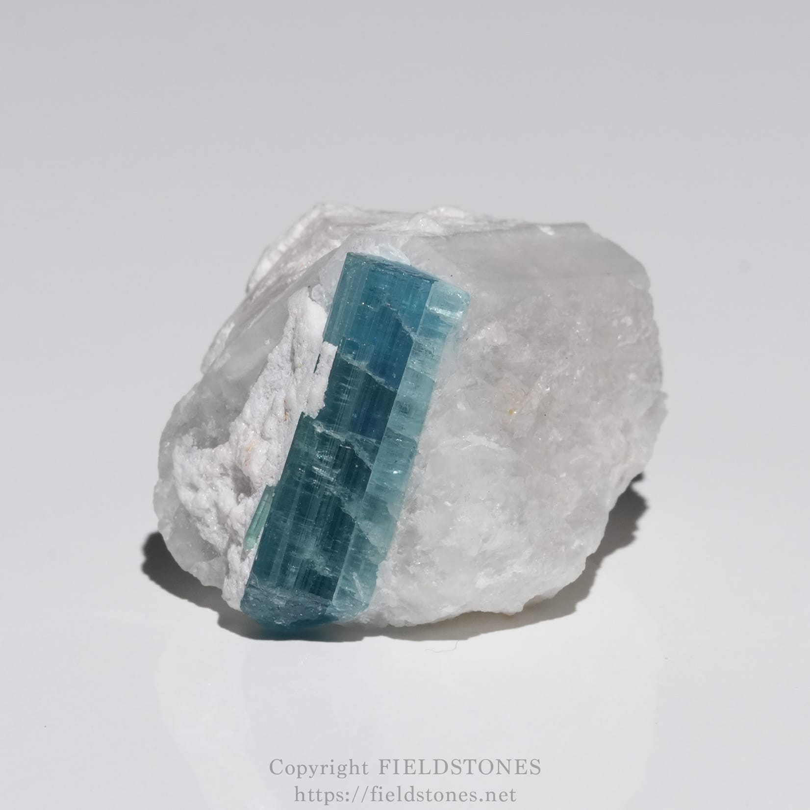 6651-2 - FieldStones Blue-green rectangular crystal embedded in a rough white rock mineral matrix against a plain background (close-up).