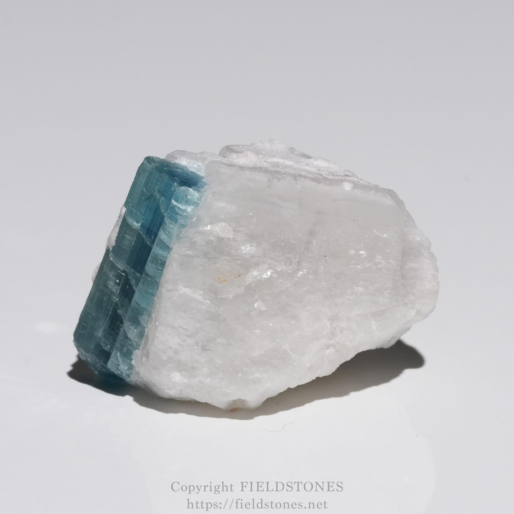 6651-4 - FieldStones Blue-green crystal embedded in a white mineral chunk, photographed as a close-up specimen