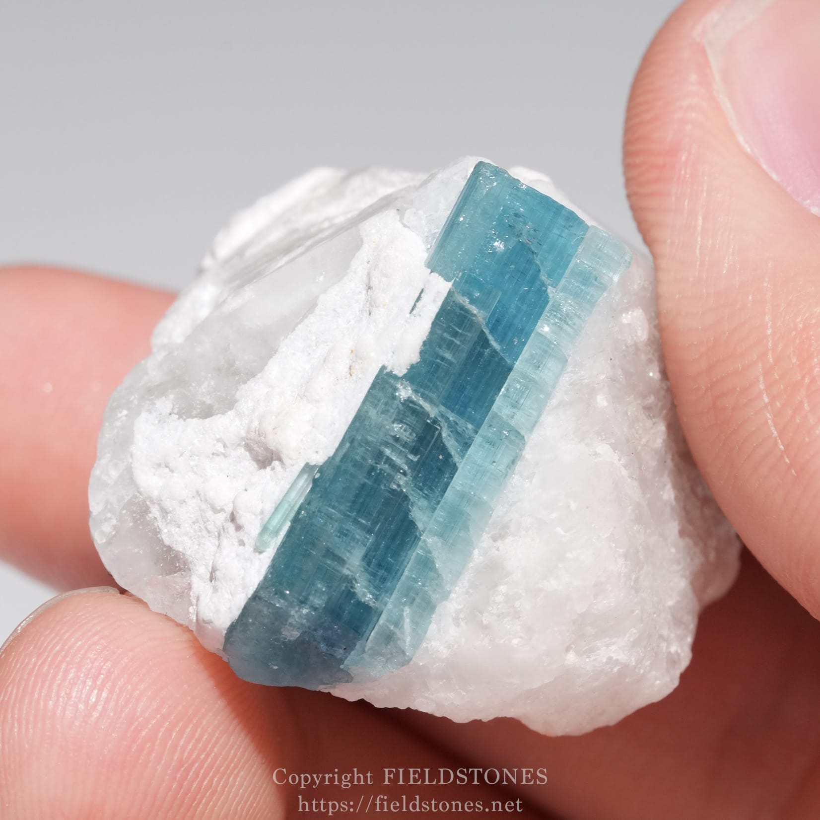 6651-8 - FieldStones Blue-green fluorite crystal embedded in white rock, held between two fingers.