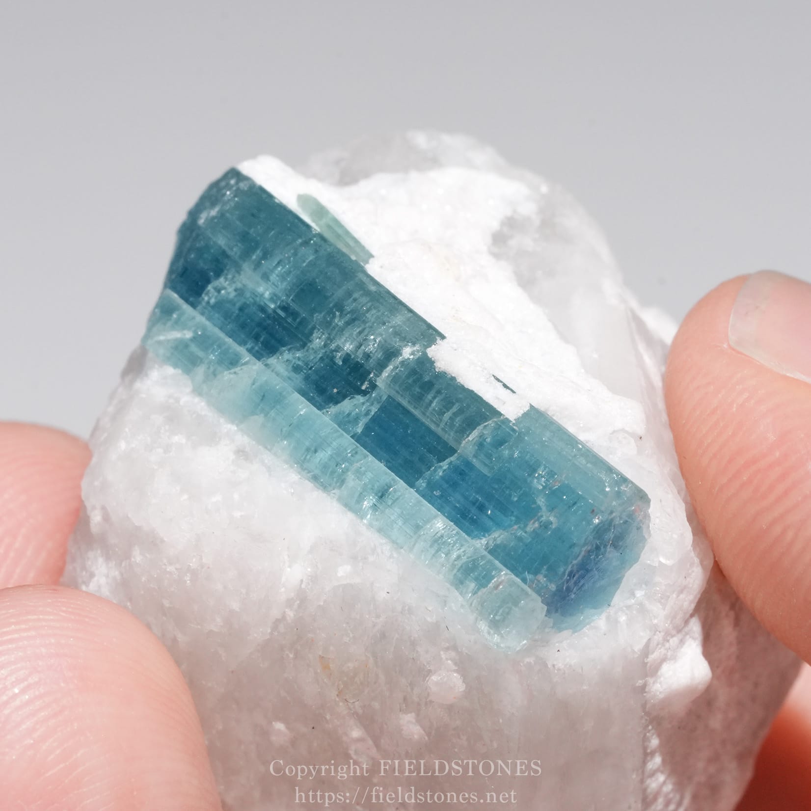 6651-9 - FieldStones Blue-green tourmaline crystal embedded in white rock, held between fingertips.